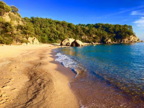 Private Apartments Cala Canyelles